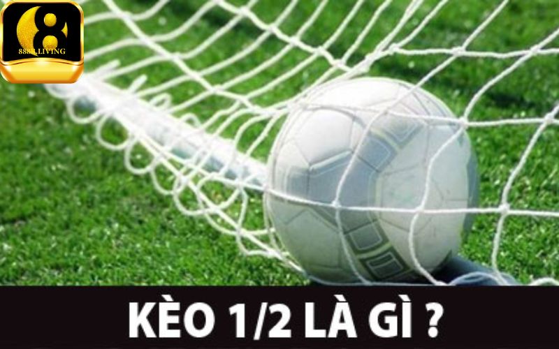 Kèo chấp nửa trái: chia sẻ bí kíp chơi về tỷ lệ phổ biến nhất 1 Giải thích kèo chấp nửa trái dễ hiểu nhất